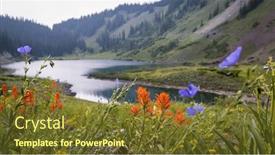  Presentation with colorado - Presentation theme having indian-paint-brush-wildflowers background and a tawny brown colored foreground