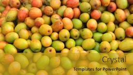  Presentation with indian - PPT theme having indian-plums-also-known background and a gold colored foreground