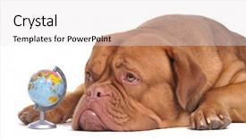  Presentation with dream - Slide deck having wake in the ocean made by cruise ship at sea background and a dark gray colored foreground