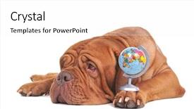  Presentation with world politics - Beautiful theme featuring indian politics - such a small world we backdrop and a white colored foreground