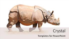  Presentation with indian - Slides having indian rhinoceros rhinoceros unicornis animals background and a lemonade colored foreground