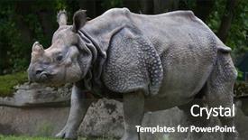  Presentation with wildlife - PPT layouts consisting of indian rhinoceros rhinoceros unicornis wildlife background and a dark gray colored foreground