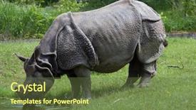  Presentation with indian heritage of art - Amazing presentation theme having indian rhinoceros rhinoceros unicornis wildlife backdrop and a tawny brown colored foreground