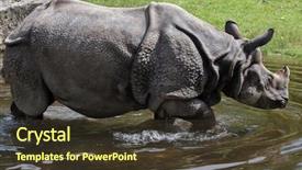  Presentation with wildlife - Slide deck with indian rhinoceros rhinoceros unicornis wildlife background and a tawny brown colored foreground