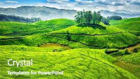  Presentation with kerala - PPT theme with tea plantations munnar kerala india background and a shamrock green colored foreground