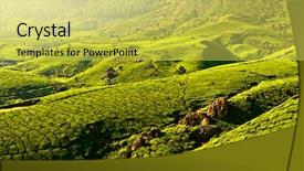  Presentation with kerala - PPT layouts with tea plantations in state kerala background and a yellow colored foreground