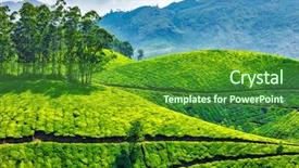  Presentation with munnar - Colorful PPT layouts enhanced with tea plantations munnar kerala india backdrop and a shamrock green colored foreground