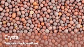  Presentation with seed and tree mustard - Slides having indian spice seeds of black background and a  colored foreground