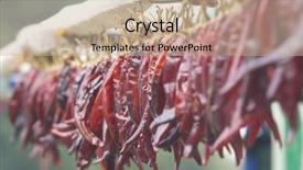  Presentation with sun - PPT layouts consisting of indian spicey food - chillies drying in the sun background and a mint green colored foreground