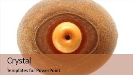  Presentation with insect - Presentation theme featuring indian stick insect's egg background and a red colored foreground