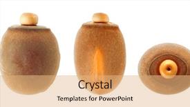  Presentation with insect aphid - PPT theme consisting of indian stick insect's eggs background and a coral colored foreground