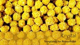  Presentation with indian food - Audience pleasing theme consisting of indian-street-food backdrop and a gold colored foreground