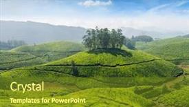  Presentation with tea - Audience pleasing slide set consisting of indian tea concept background - tea backdrop and a tawny brown colored foreground