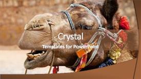  Presentation with camel - Colorful presentation theme enhanced with indian train - camel in thar desert india backdrop and a  colored foreground