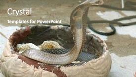  Presentation with king - Beautiful PPT theme featuring two towers on river bank backdrop and a light blue colored foreground