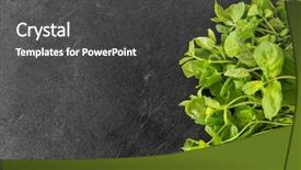  Presentation with indigenous plants - Amazing PPT theme having indigenous plants - gardening herb and organic concept backdrop and a dark gray colored foreground