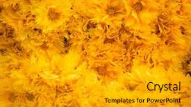  Presentation with indigenous plants - PPT theme having indigenous plants - marigold flowers close-up colorful background background and a light gray colored foreground