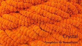  Presentation with indigenous - Colorful slide deck enhanced with indigenous plants - marigold flowers garland background backdrop and a gold colored foreground