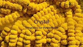  Presentation with indigenous - Colorful presentation theme enhanced with indigenous plants - marigold flowers garland background backdrop and a gold colored foreground