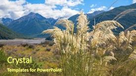  Presentation with focus - Amazing PPT layouts having indigenous plants - new zealand summer landscape backdrop and a  colored foreground