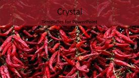  Presentation with chocolates pepper - Beautiful presentation theme featuring indigenous plants - red hot pepper backdrop and a  colored foreground