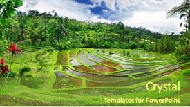  Presentation with bali culture - Beautiful presentation featuring indonesia culture - pictorial rice terraces of bali backdrop and a tawny brown colored foreground