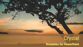  Presentation with tree silhouette - Theme consisting of indonesia-sunset-silhouette-black-tree background and a red colored foreground