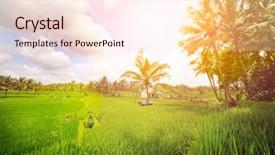  Presentation with green morning - Beautiful PPT layouts featuring indonesia travel - lush green paddy fields backdrop and a lemonade colored foreground
