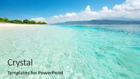  Presentation with clear - Beautiful slide deck featuring a local animal shelter backdrop and a gray colored foreground