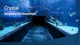  Presentation with tunnel - Amazing PPT theme having indoor water park - empty oceanarium tunnel closeup backdrop and a ocean colored foreground