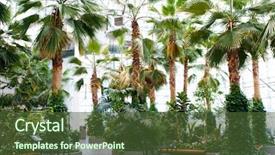  Presentation with water park - Cool new presentation with indoor water park - many palms in the conservatory backdrop and a tawny brown colored foreground