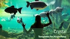  Presentation with fishes - Slide deck with indoor water park - silhouette of young woman watching background and a ocean colored foreground