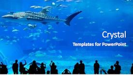  Presentation with water park - PPT theme having indoor water park - silhouettes of people in oceanarium background and a  colored foreground