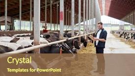  Presentation with agriculture industry - Colorful slide set enhanced with industrial - agriculture industry farming people backdrop and a tawny brown colored foreground