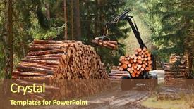 Presentation with energy source - Presentation design featuring industrial - lumberjack with modern harvester working background and a tawny brown colored foreground