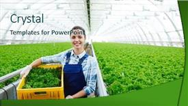  Presentation with industrial engineer - PPT theme enhanced with industrial - successful young agro-engineer woth box background and a sky blue colored foreground