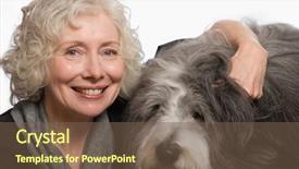  Presentation with pet - Audience pleasing PPT theme consisting of industrial sickness - woman with her pet dog backdrop and a tawny brown colored foreground
