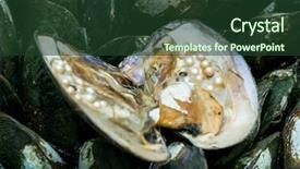  Presentation with pearl oyster - Theme having industrial visit - lip oyster shell with pearl background and a tawny brown colored foreground