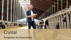  Presentation with animal husbandry - Colorful slide set enhanced with industry farming people and animal backdrop and a coral colored foreground