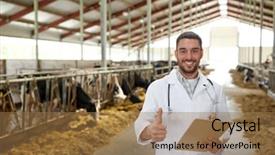  Presentation with animal health - Slide set consisting of industry farming people and animal background and a coral colored foreground