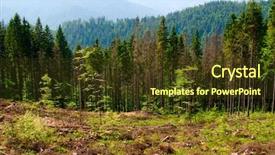  Presentation with free - Slide deck having free forestry - felled area in carpathian mountains background and a tawny brown colored foreground
