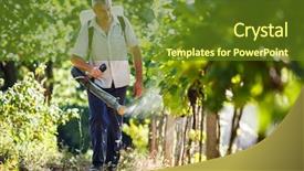  Presentation with chemicals - Amazing slide set having his vineyard spraying chemicals backdrop and a tawny brown colored foreground