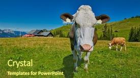  Presentation with infinity - Slide deck enhanced with infinity pier at picturesque summer lake with clouds reflecting in still water background and a tawny brown colored foreground