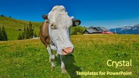  Presentation with infinity - Slide set consisting of infinity pier at picturesque summer lake with clouds reflecting in still water background and a tawny brown colored foreground