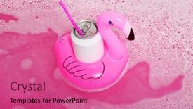  Presentation with pink white - Presentation design consisting of inflatable-flamingos-with-white background and a coral colored foreground