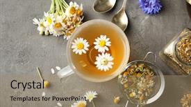 Presentation with tea tasting - PPT layouts having inflorescence - composition with tasty chamomile tea background and a coral colored foreground