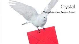  Presentation with white dove - PPT theme enhanced with information carriers - dove carrying envelope isolated background and a white colored foreground