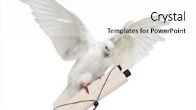  Presentation with white dove flying - PPT layouts with information carriers - photo of flying dove background and a white colored foreground