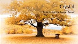  Presentation with nature big tree - Colorful slides enhanced with infra - big autumn tree composition backdrop and a yellow colored foreground