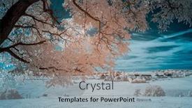  Presentation with winter landscape winter tree - PPT theme with infrared-photography-summer-tree-style background and a light gray colored foreground